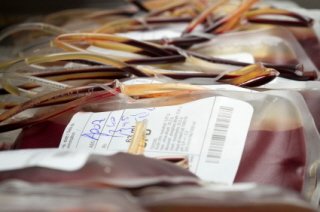 Bancos de sangre del cordón umbilical 