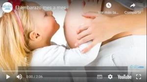 Vídeo del embarazo mes a mes