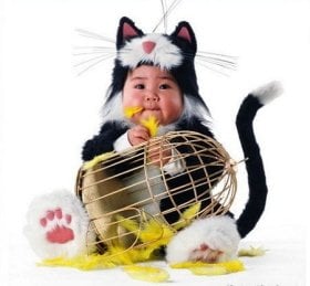 Disfraz de gato para bebés del fotógrafo Tom Arma