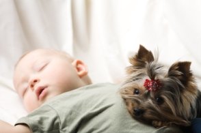 Bebé recién nacido y mascota perro