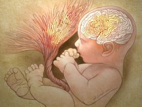 Detección precoz del autismo: alteraciones de la placenta