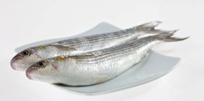 el pescado y el marisco en la alimentación infantil de los niños