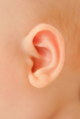 Lo que oye el bebé y oreja