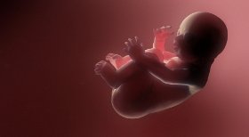 Retraso en el crecimiento intrauterino en el embarazo